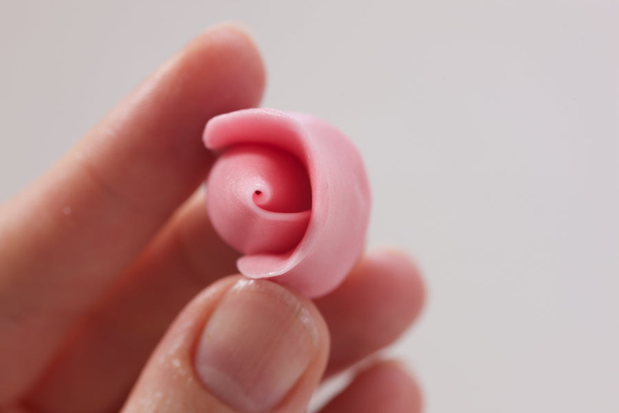 Tortendekor Basiskurs 2